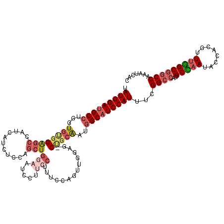 secondary structure