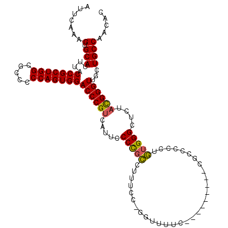 secondary structure