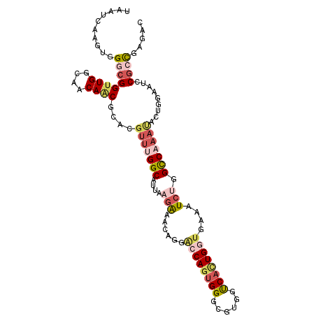 secondary structure