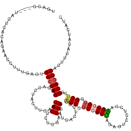 secondary structure