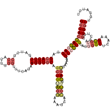 secondary structure