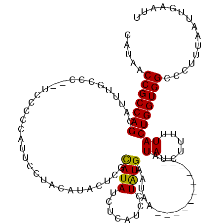 secondary structure