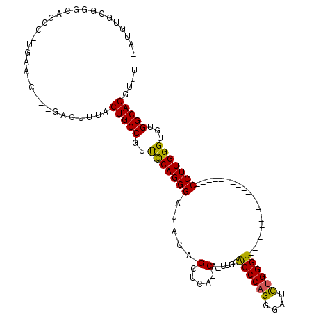 secondary structure