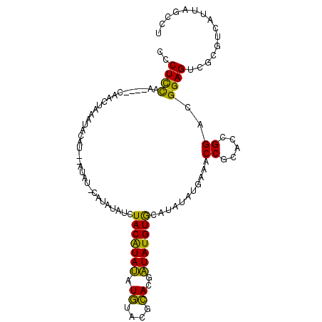 secondary structure