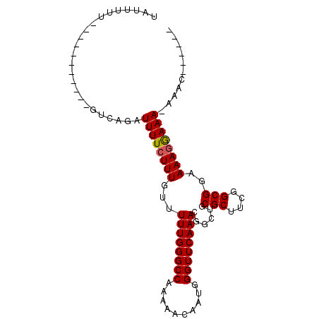 secondary structure