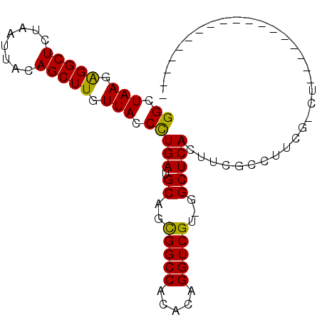 secondary structure