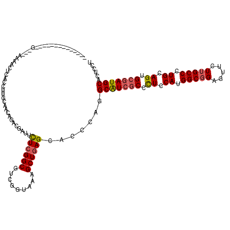secondary structure