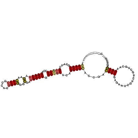 secondary structure