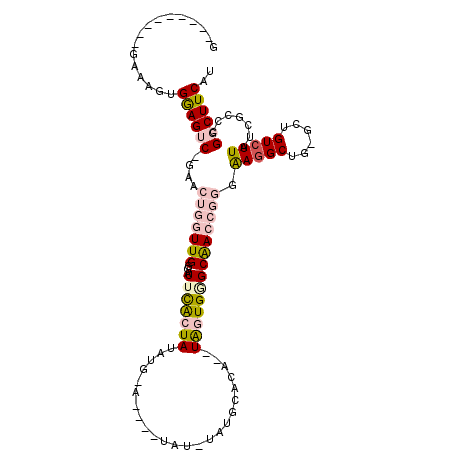 secondary structure