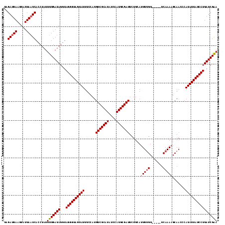 dotplot