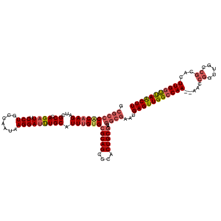 secondary structure