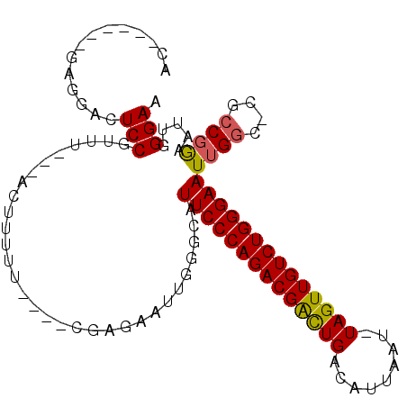 secondary structure