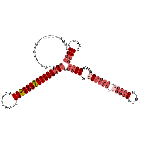 secondary structure