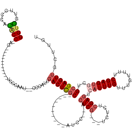 secondary structure