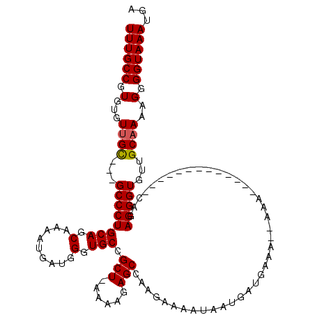 secondary structure