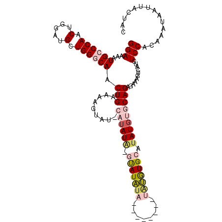 secondary structure