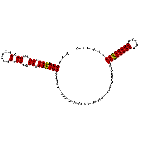 secondary structure