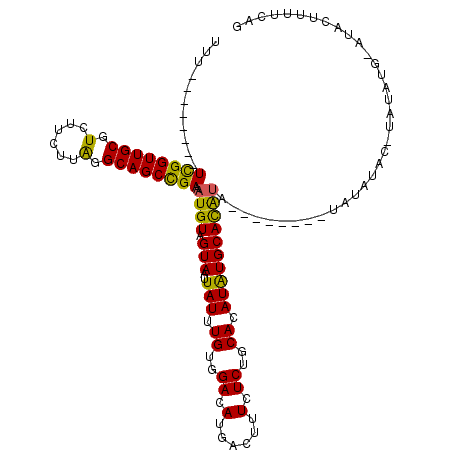 secondary structure