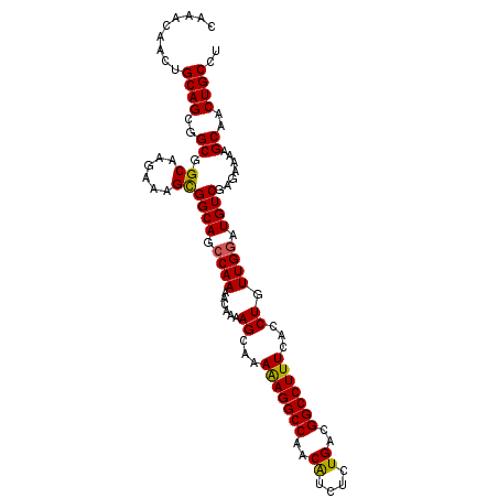 secondary structure