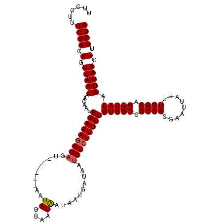 secondary structure
