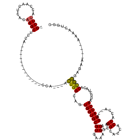 secondary structure