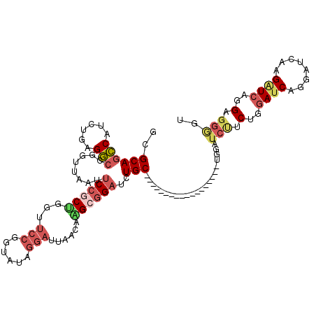 secondary structure
