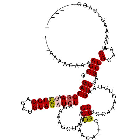 secondary structure