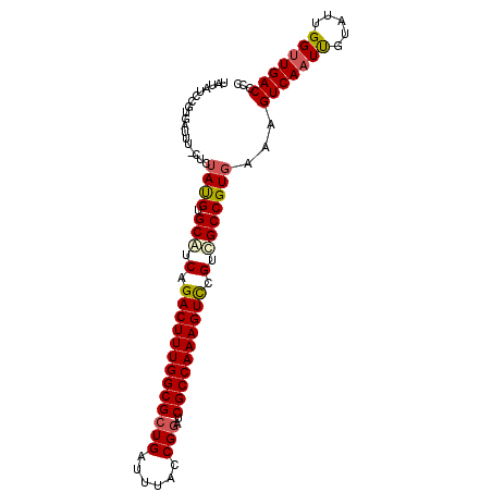 secondary structure