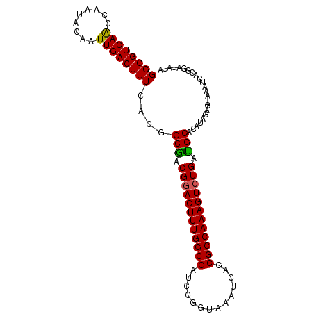 secondary structure