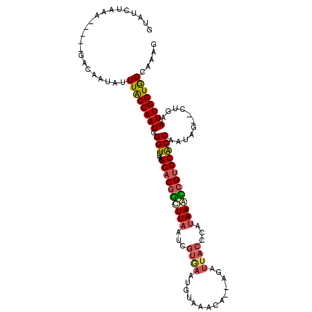 secondary structure