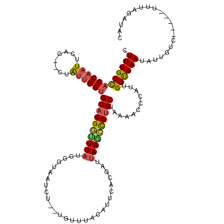 secondary structure