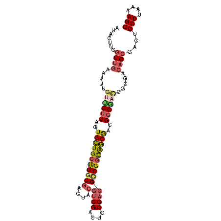 secondary structure