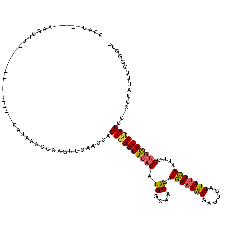 secondary structure