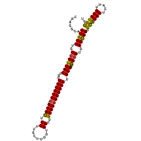 secondary structure