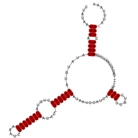 secondary structure
