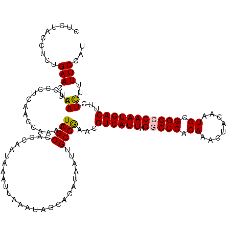 secondary structure