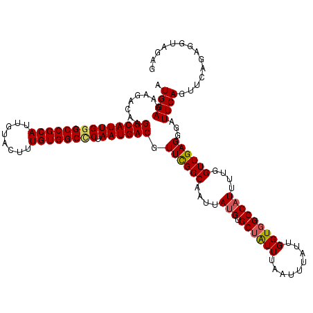 secondary structure