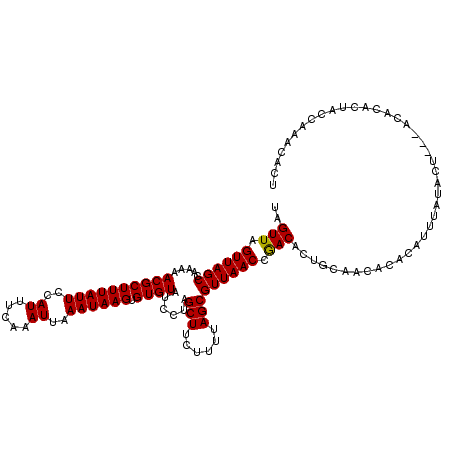 secondary structure
