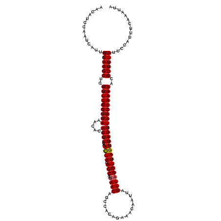 secondary structure
