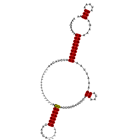 secondary structure