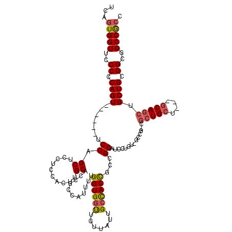 secondary structure