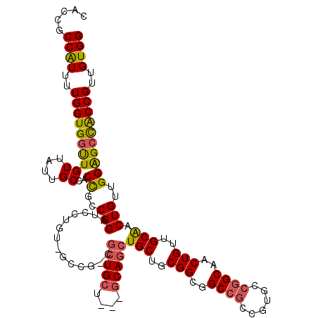 secondary structure
