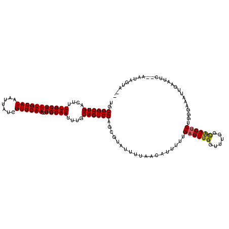 secondary structure