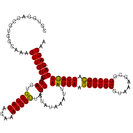 secondary structure