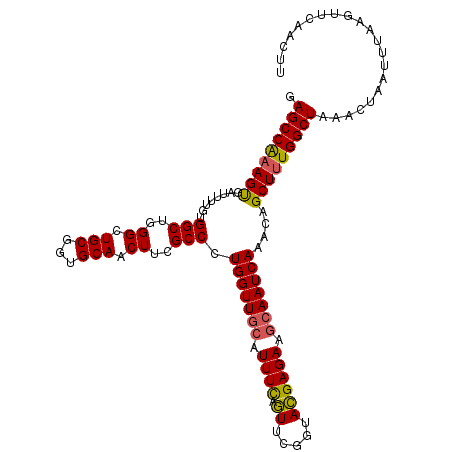 secondary structure