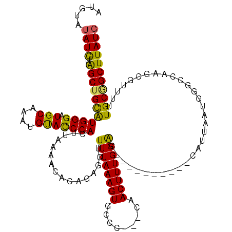 secondary structure
