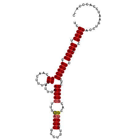 secondary structure