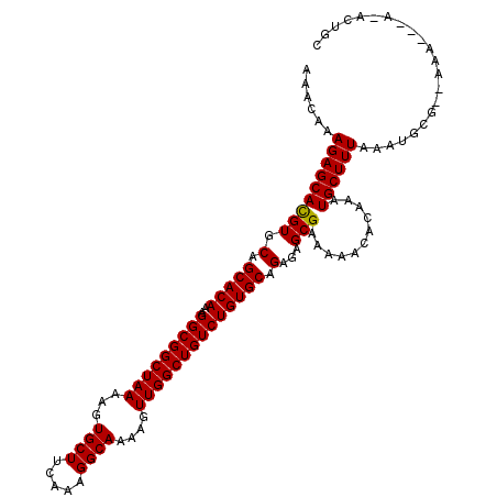 secondary structure