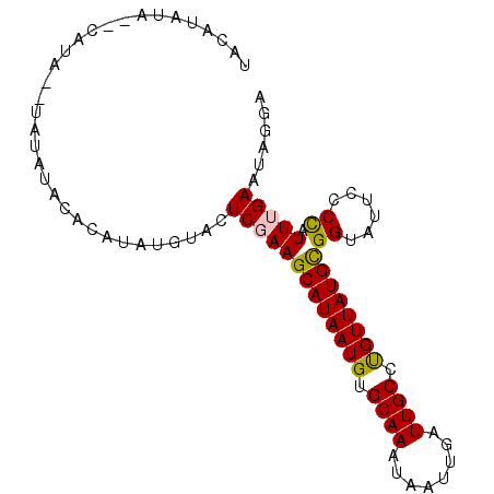secondary structure