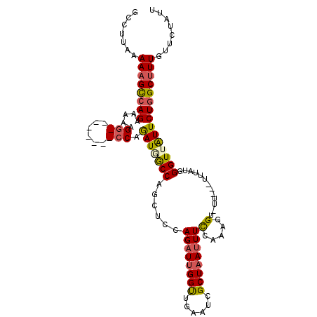 secondary structure